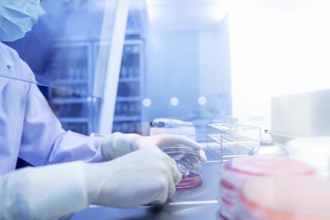 Cette revue de la littérature constate une incohérence des normes qui pourrait compromettre le suivi mondial de la résistance aux antibiotiques (Visuel Adobe Stock 320678643) Cette revue de la littérature constate une incohérence des normes qui pourrait compromettre le suivi mondial de la résistance aux antibiotiques (Visuel Adobe Stock 320678643)