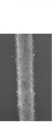 Le dispositif se compose de 3 petits canaux par lesquels les cellules s'écoulent.