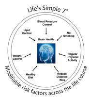 On estime que 150 millions de personnes pourraient être atteintes de démence en 2050. Ce chiffre et la crainte de l’Alzheimer doit inciter chacun à adopter les bons comportements pour prévenir au maximum ce risque en préservant au maximum la santé de son cerveau (Visuel AHA) On estime que 150 millions de personnes pourraient être atteintes de démence en 2050. Ce chiffre et la crainte de l’Alzheimer doit inciter chacun à adopter les bons comportements pour prévenir au maximum ce risque en préservant au maximum la santé de son cerveau (Visuel AHA)