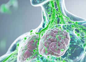 Un flux lymphatique plus rapide dans les jambes pourrait prédire une meilleure réponse aux diurétiques dans l'insuffisance cardiaque aiguë (ViSuel Adobe Stock 1024415085) Un flux lymphatique plus rapide dans les jambes pourrait prédire une meilleure réponse aux diurétiques dans l'insuffisance cardiaque aiguë (ViSuel Adobe Stock 1024415085)