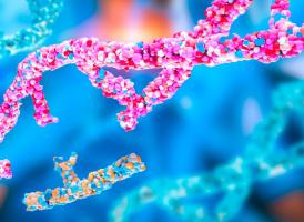 Les technologies CRISPR qui constituent la base de l’édition du génome ou de l’édition de gènes, sont en train de révolutionner la médecine régénérative (Visuel Adobe Stock 1041264544) Les technologies CRISPR qui constituent la base de l’édition du génome ou de l’édition de gènes, sont en train de révolutionner la médecine régénérative (Visuel Adobe Stock 1041264544)