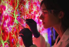 Le grand défi dans le traitement pharmacologique des maladies cérébrales et neurologiques reste de pouvoir faire franchir au principe actif, la barrière protectrice hémato-encéphalique (Visuel Adobe Stock 1071591002) Le grand défi dans le traitement pharmacologique des maladies cérébrales et neurologiques reste de pouvoir faire franchir au principe actif, la barrière protectrice hémato-encéphalique (Visuel Adobe Stock 1071591002)