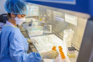 Le pathogène Mycobacterium tuberculosis utilise « toutes les cordes à son arc », suivant un large spectre de comportements de croissance et se développer à partir de l’une ou l’autre de ses deux extrémités (Visuel Adobe Stock 112984573).  