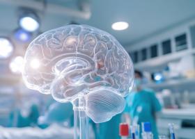 Les scientifiques tirent le signal d’alarme sur cette contamination en augmentation (Visuel Adobe Stock 1132691892)