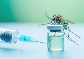 Le vaccin permet notamment de protéger, durant 5 ans, contre le risque d’hospitalisation (Visuel Adobe Stock 1199690721).