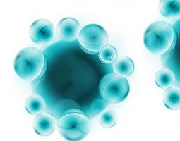 Cette équipe de biologistes et de scientifiques de la Penn State se penche sur la biologie des holobiontes ou supraorganismes ou « assemblages dynamiques de cellules hôtes et microbiennes en interaction » (Visuel Adobe Stock 12357031) Cette équipe de biologistes et de scientifiques de la Penn State se penche sur la biologie des holobiontes ou supraorganismes ou « assemblages dynamiques de cellules hôtes et microbiennes en interaction » (Visuel Adobe Stock 12357031)