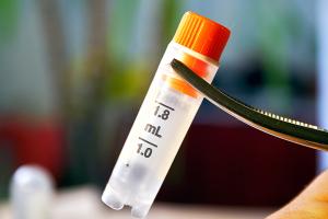 Il est aujourd’hui possible de prendre la température d'une cellule Il est aujourd’hui possible de prendre la température d'une cellule