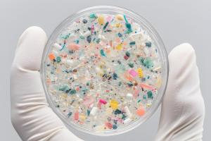 Les microplastiques minent aussi la santé osseuse (Visuel Adobe Stock 1454991029)