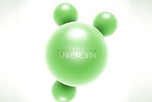 Un complément alimentaire pour la santé intestinale, l'inuline, soulage les douleurs arthritiques (Visuel Adobe Stock 1808298070)