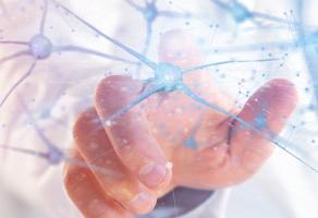 Comment la sclérose en plaques endommage le cerveau bien avant l'apparition des premiers symptômes (Visuel Adobe Stock 204183905) Comment la sclérose en plaques endommage le cerveau bien avant l'apparition des premiers symptômes (Visuel Adobe Stock 204183905)