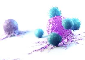 Certains lymphocytes T pourraient constituer des biomarqueurs précoces de la maladie de Parkinson, des années avant l'apparition des symptômes moteurs (Visuel Adobe Stock 268840377)