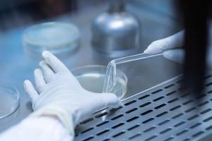 Modifier le système immunitaire du corps grâce à une greffe, pour traiter définitivement un diabète de type 1 (Visuel Adobe Stock 279923619) Modifier le système immunitaire du corps grâce à une greffe, pour traiter définitivement un diabète de type 1 (Visuel Adobe Stock 279923619)