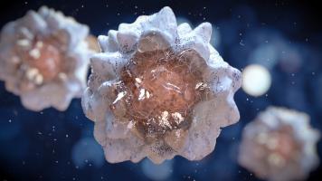 L'obésité passée peut déclencher des changements épigénétiques persistants dans l'immunité innée et la neuro-inflammation (Visuel Adobe Stock 280116225) L'obésité passée peut déclencher des changements épigénétiques persistants dans l'immunité innée et la neuro-inflammation (Visuel Adobe Stock 280116225)