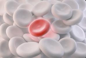 Ces imitations de globules rouges vont permettre de passer les barrières et de délivrer le médicaments à la cible (Visuel Adobe Stock 282263429) Ces imitations de globules rouges vont permettre de passer les barrières et de délivrer le médicaments à la cible (Visuel Adobe Stock 282263429)