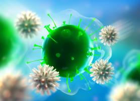 Prédire la sévérité d’une réponse à l'infection, chez certains patients, sera bientôt possible, à partir de cette signature génétique (Visuel Adobe stock 286254916) Prédire la sévérité d’une réponse à l'infection, chez certains patients, sera bientôt possible, à partir de cette signature génétique (Visuel Adobe stock 286254916)