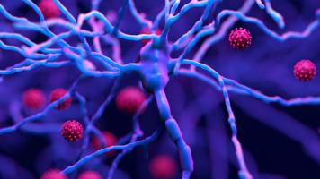 Une immunothérapie efficace à éliminer les cellules pathogènes, à ce stade chez des souris modèles de sclérose en plaques (SEP) (Visuel Adobe Stock 382256487) Une immunothérapie efficace à éliminer les cellules pathogènes, à ce stade chez des souris modèles de sclérose en plaques (SEP) (Visuel Adobe Stock 382256487)