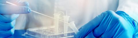 « Does Parkinson’s start in the nose ? » (Vise Adobe Stock 409888808) « Does Parkinson’s start in the nose ? » (Vise Adobe Stock 409888808)