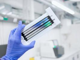 Dans ces 2 troubles génétiques rares très différents, une forme de dystrophie musculaire nommée « facioscapulohumérale » (FSHD), et l’arhinie, une malformation faciale rare caractérisée par l’absence structure nasale, cette protéine toxique, codée par le gène DUX4 pourrait avoir une responsabilité déterminante (Visuel Adobe Stock 415602631) Dans ces 2 troubles génétiques rares très différents, une forme de dystrophie musculaire nommée « facioscapulohumérale » (FSHD), et l’arhinie, une malformation faciale rare caractérisée par l’absence structure nasale, cette protéine toxique, codée par le gène DUX4 pourrait avoir une responsabilité déterminante (Visuel Adobe Stock 415602631)