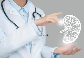 Et si le corps humain disposait d'un bioréacteur naturel capable de régénérer les organes vitaux ? (Visuel Adobe Stock 449057774)