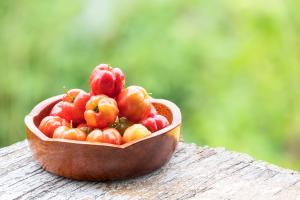 L'étude révèle le potentiel des plantes brésiliennes dans la lutte contre le cancer de l'estomac (Visuel Adobe Stock 461020195)