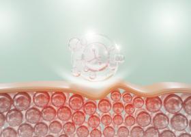 C'est une nouvelle méthode qui permet d’identifier les cellules « âgées » (Visuel Adobe Stock 485327423)