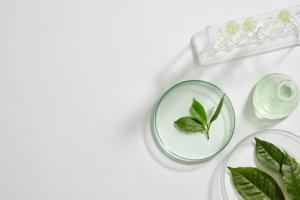 Une plante médicinale traditionnelle, une sorte de thé, pourrait lutter contre le paludisme résistant aux médicaments (Visuel Adobe Stock 499045900) Une plante médicinale traditionnelle, une sorte de thé, pourrait lutter contre le paludisme résistant aux médicaments (Visuel Adobe Stock 499045900)