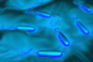 Le choléra tue encore plus de 140.000 personnes chaque année dans le monde et infecte jusqu'à 4 millions d'autres (Visuel Adobe Stock 50556333) Le choléra tue encore plus de 140.000 personnes chaque année dans le monde et infecte jusqu'à 4 millions d'autres (Visuel Adobe Stock 50556333)