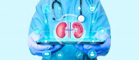 Cette classe de médicaments contre le diabète, les inhibiteurs du SGLT2 apparaissent liés à une réduction du risque de calculs rénaux (Visuel Adobe Stock 586776962)