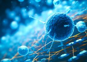 En créant un interrupteur moléculaire capable de dissoudre les noyaux des cellules cancéreuses, où se concentrent des foyers d’ARN liquides, il devient possible de stopper la tumeur (Visuel Adobe Stock 622959123) En créant un interrupteur moléculaire capable de dissoudre les noyaux des cellules cancéreuses, où se concentrent des foyers d’ARN liquides, il devient possible de stopper la tumeur (Visuel Adobe Stock 622959123)