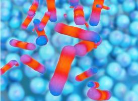 Cette nouvelle approche de traitement avec un nouveau véhicule d'administration de médicaments basé sur la toxine modifiée pourrait changer la donne (Visuel Adobe Stock 74253023) Cette nouvelle approche de traitement avec un nouveau véhicule d'administration de médicaments basé sur la toxine modifiée pourrait changer la donne (Visuel Adobe Stock 74253023)