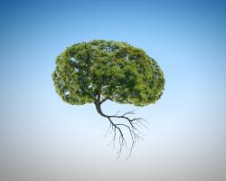 L'étude décrypte comment la pollution de l'air favorise l'inflammation du cerveau, accélère le déclin cognitif et augmente finalement le risque de démence (Visuel Adobe Stock 76195834)