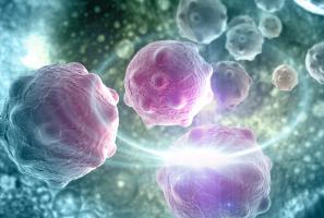 Cette « ferroaddiction » peut être exploitée pour délivrer spécifiquement de puissants médicaments anticancéreux sans nuire aux cellules saines (Visuel Adobe Stock 76898975) Cette « ferroaddiction » peut être exploitée pour délivrer spécifiquement de puissants médicaments anticancéreux sans nuire aux cellules saines (Visuel Adobe Stock 76898975).