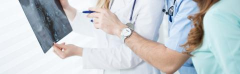 Les androgènes façonnent le développement du cerveau, induisant des différences de comportement, dont plus d'agressivité. Les androgènes façonnent le développement du cerveau, induisant des différences de comportement, dont plus d'agressivité.