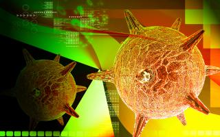 L'étude rappelle la prévalence et l’impact sanitaire et économique majeur à l’échelle mondiale, des infections à herpès (Visuel Adobe Stock 804385) L'étude rappelle la prévalence et l’impact sanitaire et économique majeur à l’échelle mondiale, des infections à herpès (Visuel Adobe Stock 804385)