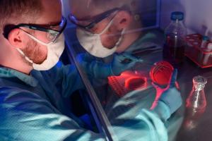 Le même « cocktail » toxique avec lequel Staphylococcus aureus endommage les cellules et les tissus a également des effets positifs - Visuel Jens Meyer /University of Jena “Le pharmacien Paul Jordan prépare ses cultures de Staphylococcus aureus ». Le même « cocktail » toxique avec lequel Staphylococcus aureus endommage les cellules et les tissus a également des effets positifs -Visuel Jens Meyer /University of Jena “Le pharmacien Paul Jordan prépare ses cultures de Staphylococcus aureus ».