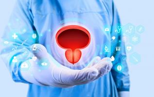 L'immunothérapie après la chirurgie chirurgicale prolonge la survie en rémission, chez les patients avec un cancer de la vessie à haut risque (Visuel Adobe Stock 582325872)