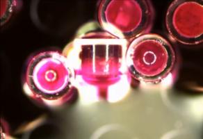 Il s’agit d’un ensemble de micro-dispositifs cylindriques emballés dans des capsules de gélatine miniatures, recouvertes d'une couche protectrice pour empêcher la digestion dans l'environnement acide de l'estomac (Visuel ACS Nano) Il s’agit d’un ensemble de micro-dispositifs cylindriques emballés dans des capsules de gélatine miniatures, recouvertes d'une couche protectrice pour empêcher la digestion dans l'environnement acide de l'estomac (Visuel ACS Nano)