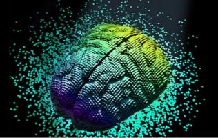 Cette recherche décrypte les processus de création et de migration des neurones au cours de la grossesse nécessaires à la « fabrication » d'un cerveau humain (Visuel www.mertensdesignlab.com) Cette recherche décrypte les processus de création et de migration des neurones au cours de la grossesse nécessaires à la « fabrication » d'un cerveau humain (Visuel www.mertensdesignlab.com)