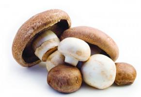 Un impact nutritionnel significatif de l'ajout d'une seule portion de champignons à l'alimentation, avec notamment l'apport de vitamine D, et sans augmentation des calories ou de sodium (Visuel Mushroom Council). Un impact nutritionnel significatif de l'ajout d'une seule portion de champignons à l'alimentation, avec notamment l'apport de vitamine D, et sans augmentation des calories ou de sodium (Visuel Mushroom Council).