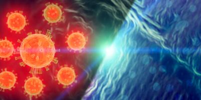 Mieux prédire le sort des virus émergents dans l'environnement Mieux prédire le sort des virus émergents dans l'environnement