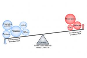 Près de 2 ans après le début de la pandémie, cette analyse phénomiquenous propose, dans la revue PLoS Genetics, un bilan des liens génétiques entre le COVID-19 sévère et d'autres maladies (Visuel PLoS Genetics) Près de 2 ans après le début de la pandémie, cette analyse phénomiquenous propose, dans la revue PLoS Genetics, un bilan des liens génétiques entre le COVID-19 sévère et d'autres maladies (Visuel PLoS Genetics).