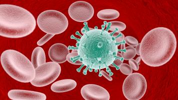 COVID-19 favorise la survenue d’accidents vasculaires cérébraux (AVC) plutôt par l'occlusion de gros vaisseaux (Visuel AdobeStock_338703516) COVID-19 favorise la survenue d’accidents vasculaires cérébraux (AVC) plutôt par l'occlusion de gros vaisseaux (Visuel AdobeStock_338703516)