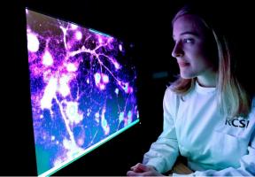 Le cannabidiol, un phytocannabinoïde majeur du cannabis a déjà démontré des effets antiépileptiques, anti-anxiété et antipsychotiques. Le cannabidiol, un phytocannabinoïde majeur du cannabis a déjà démontré des effets antiépileptiques, anti-anxiété et antipsychotiques.