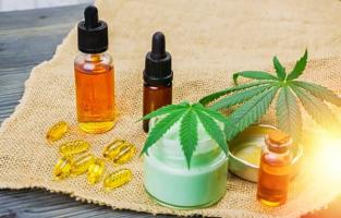 L'huile de CBD et la fleur de CBD sont-elles toutes deux équivalentes ? (Visuel Ereferer)