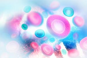 Parmi les principales voies de recherche contre le vieillissement, il y a celle de l’éradication des cellules sénescentes ou nuisibles.