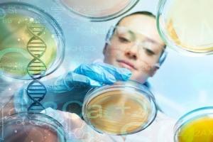 Oui, ça marche » chez la souris, alors les cellules souches pourraient-elles aussi fonctionner dans la lutte contre l'obésité chez les humains ? 