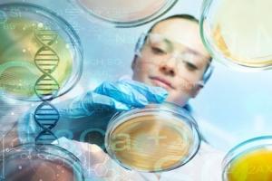 Vaincre la leucémie en ciblant ses cellules souches quiescentes (Visuel Fotolia 123592855) Vaincre la leucémie en ciblant ses cellules souches quiescentes (Visuel Fotolia 123592855)