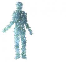 L'étude confirme une communication bidirectionnelle, le stress impactant le microbiote, et certaines bactéries impactant la réponse au stress L'étude confirme une communication bidirectionnelle, le stress impactant le microbiote, et certaines bactéries impactant la réponse au stress