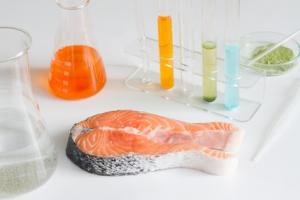 Les contaminants présents dans les poissons, tels que les biphényles polychlorés, les dioxines, l'arsenic et le mercure peuvent expliquer le risque plus élevé de cancer de la peau (Visuel Fotolia 136531886) Les contaminants présents dans les poissons, tels que les biphényles polychlorés, les dioxines, l'arsenic et le mercure peuvent expliquer le risque plus élevé de cancer de la peau (Visuel Fotolia 136531886)