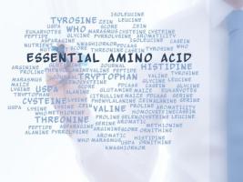 La tyrosine, un anti-ego depletion ?